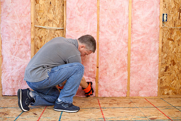 Best Garage Insulation Installation  in Pleasant Hill, OH